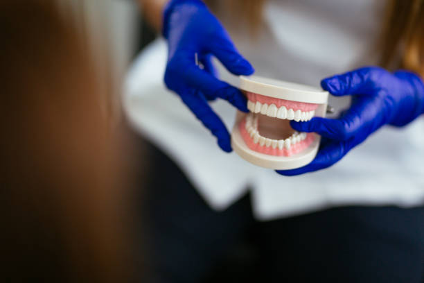 Trusted Tecumseh, MI Holistic Dental Care Services Experts